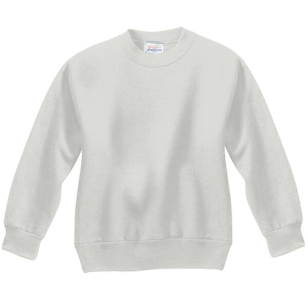 Youth ComfortBlend® EcoSmart® Fleece Crew Thumbnail
